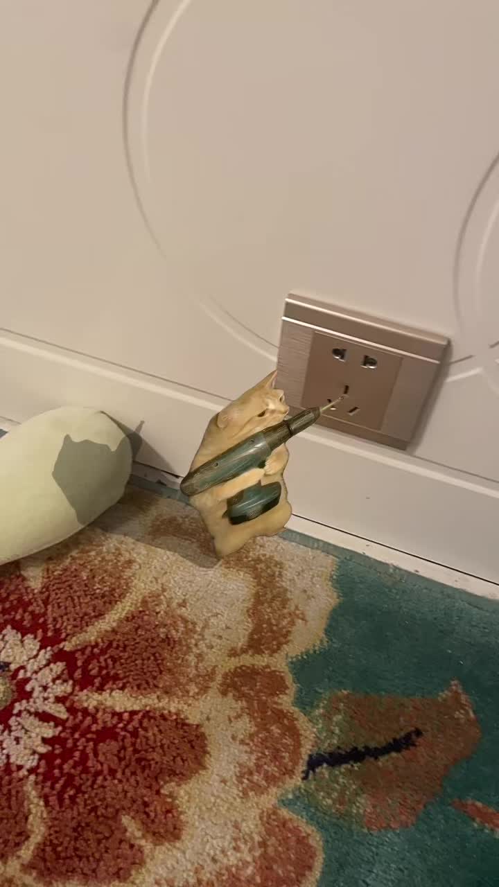 修理工小猫在线接单
